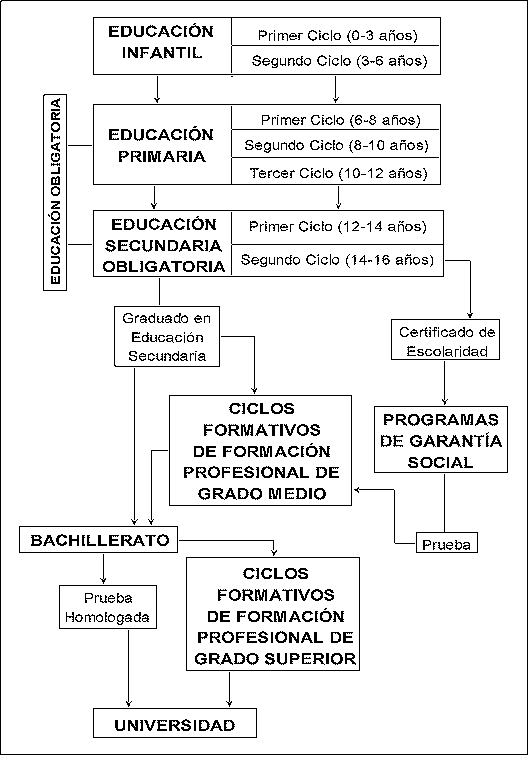 Estructura Del Sistema Educativo